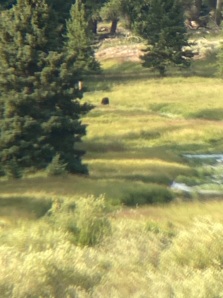 This image has an empty alt attribute; its file name is img_6892.jpg